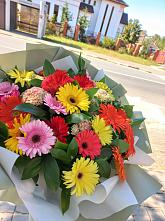 Букет цветов из:  Герберы #REPLACE_PRED# Студенке